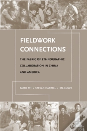 Capa do artigo Fieldwork Connections