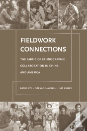 Capa do artigo Fieldwork Connections