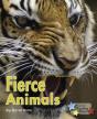 Fierce Animals - Preview