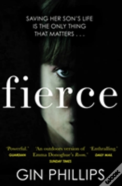 Capa do artigo Fierce