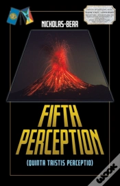 Capa do artigo Fifth Perception