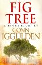Fig Tree - Preview