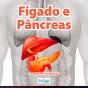 Fígado E Pâncreas - Preview