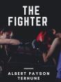 Fighter - Preview