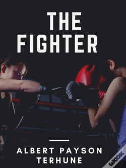 Capa do artigo Fighter
