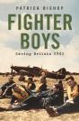 Fighter Boys - Preview