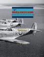 Fighter Leaders - Preview