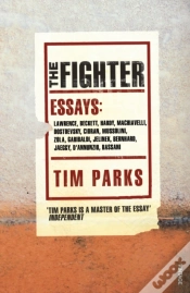 Capa do artigo Fighter