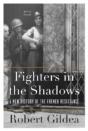 Fighters In The Shadows - Preview
