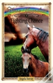 Capa do artigo Fighting Chance