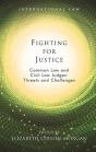 Fighting For Justice - Preview