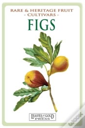 Capa do artigo Figs
