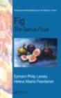Figs - Preview