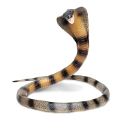 Capa do artigo Figura de borracha - Cobra