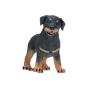 Figura de borracha - Cria Rottweiler - Preview