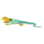 Capa do artigo Figura de borracha - Iguana-de-colar