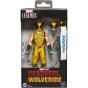 Figure Marvel Legends Series - Wolverine (Deadpool & Wolverine) 15 cm - Preview