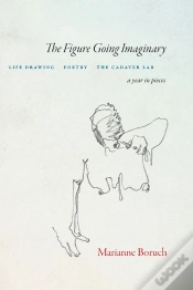Capa do artigo Figure Going Imaginary