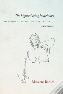 Capa do artigo Figure Going Imaginary