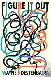 Capa do artigo Figure It Out