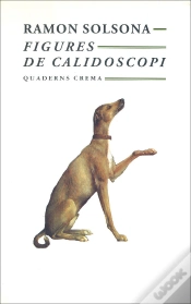 Capa do artigo Figures De Calidoscopi