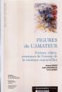 Figures De L'Amateur ; Formes Objets Pratiques De L'Amour De La Musique Aujourd'Hui - Preview