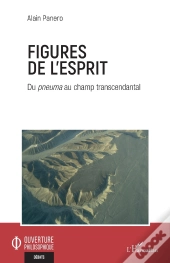 Figures De L'Esprit : Du Pneuma Au Champ Transcendantal