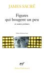 Figures Qui Bougent Un Peu Et Autres Poèmes - Preview