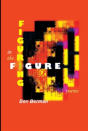 Figuring In The Figure: Poems - Preview
