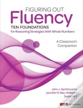 Figuring Out Fluency--Ten Foundations For Reasoning Strategies With Whole Numbers