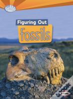 Figuring Out Fossils