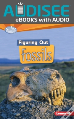 Capa do artigo Figuring Out Fossils