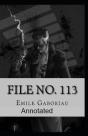 File No.113 Annotated - Preview