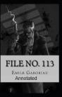 File No.113 Annotated - Preview