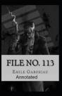 File No.113 Annotated - Preview