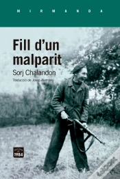 Capa do artigo Fill D