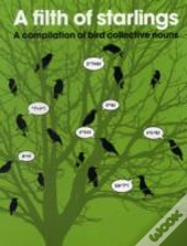 Filth Of Starlings: A Compilation Of Bird Collective Nouns