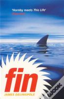 Fin