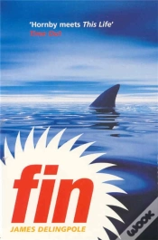 Capa do artigo Fin