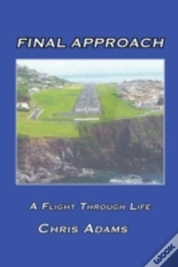 Capa do artigo Final Approach: A Flight Through Life