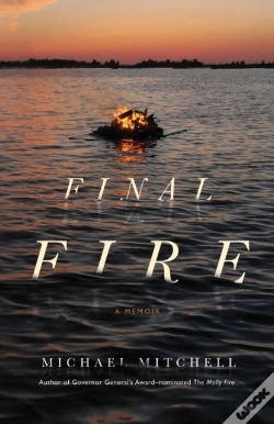 Capa do artigo Final Fire