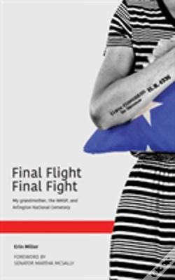 Capa do artigo Final Flight Final Fight