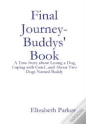 Capa do artigo Final Journey- Buddys
