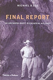 Capa do artigo Final Report