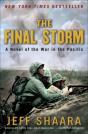 Final Storm - Preview