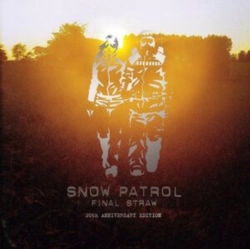 Capa do artigo Final Straw - CD