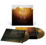 Capa do artigo Final Straw - Vinil