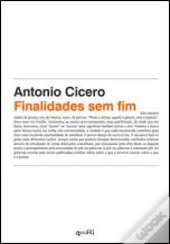 Finalidades sem Fim