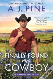 Capa do artigo Finally Found My Cowboy