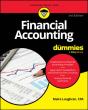 Financial Accounting For Dummies - Preview